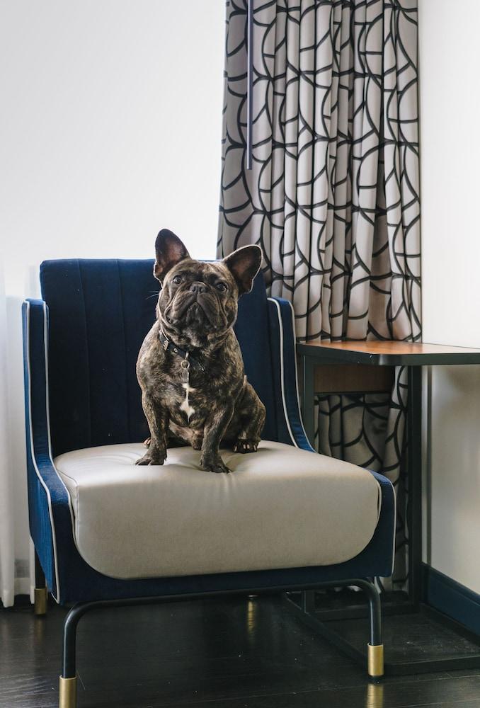 Hotel Holston House Nashville, In The Unbound Collection By Hyatt 4*